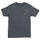 Wave Dot Mens Santa Cruz T-Shirt Charcoal w/Pistachio
