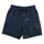 TTE Messenger Mens Santa Cruz Boardshorts Blue Haze